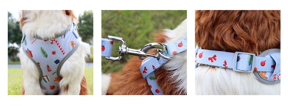 Puppy Dog Harness Set