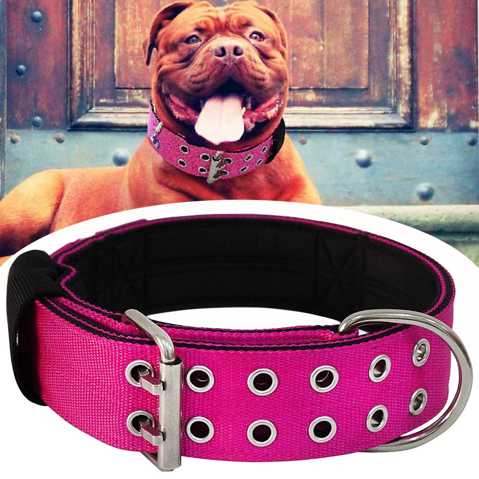 k9 dog running collar