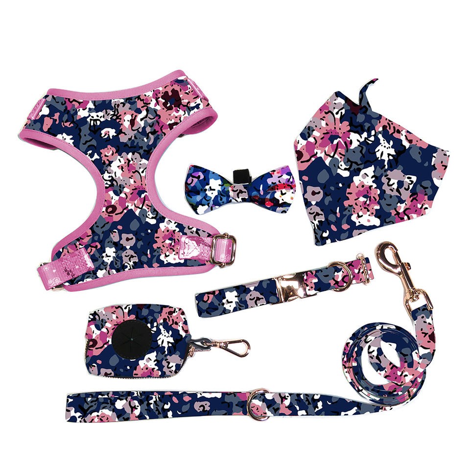 fashion dog harness set