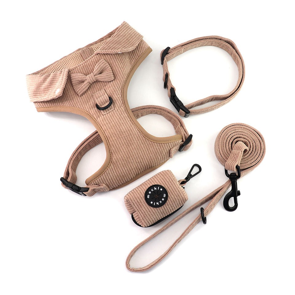 lovely dog harness set