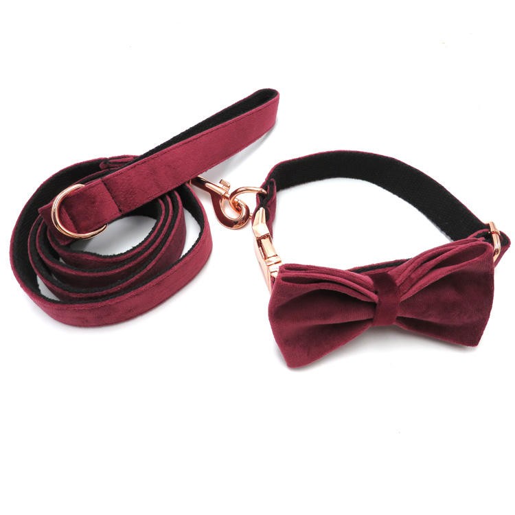 Dark red pet leash