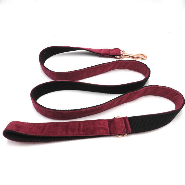 Safety pet leash