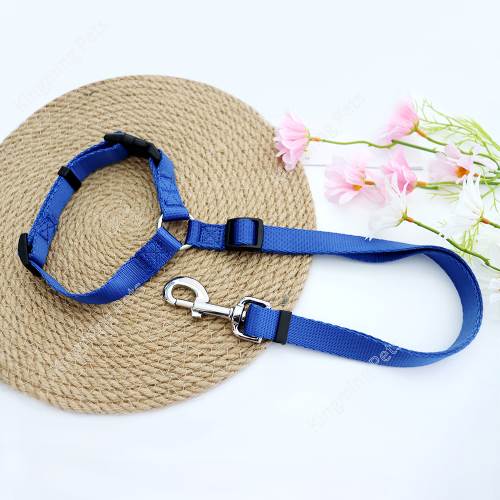  custom dog leash and collar